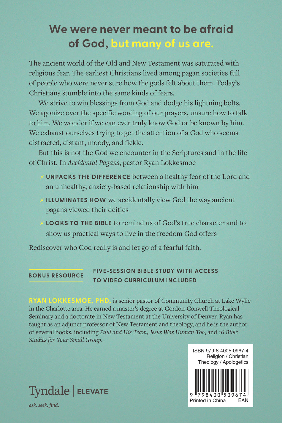 Accidental Pagans by Tyndale, product view 2