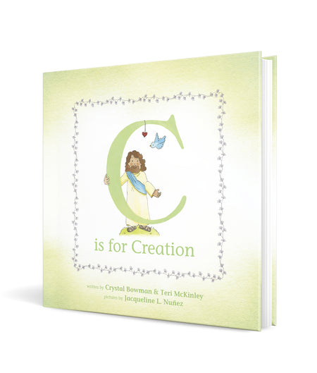 C Is for Creation by Tyndale, product view 3