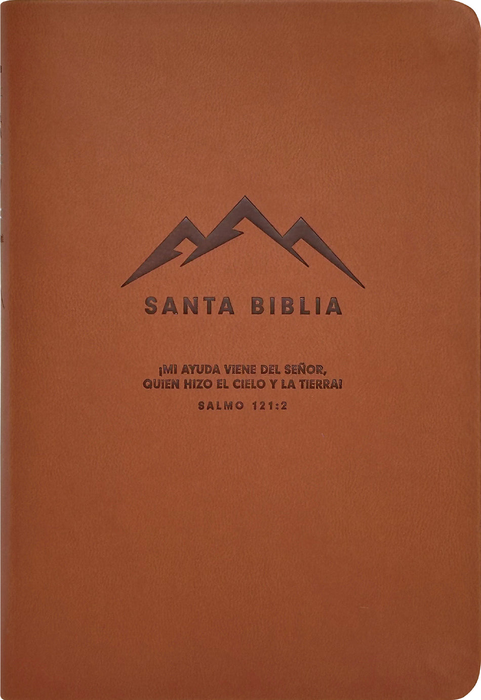 Biblia compacta NTV, con Filament by Tyndale, product view 2