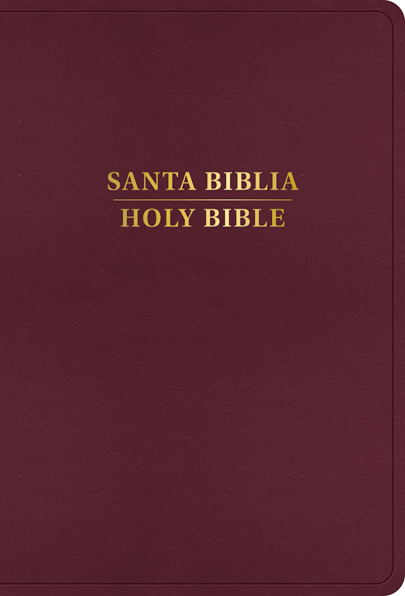RVR 1960/KJV Biblia bilingüe letra grande, negro imitación piel (Edición 2024)