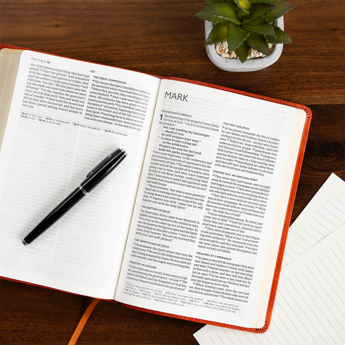 Church Pew Bible (CSB) - Anglicised Edition by Broadman and Holman, product view 5