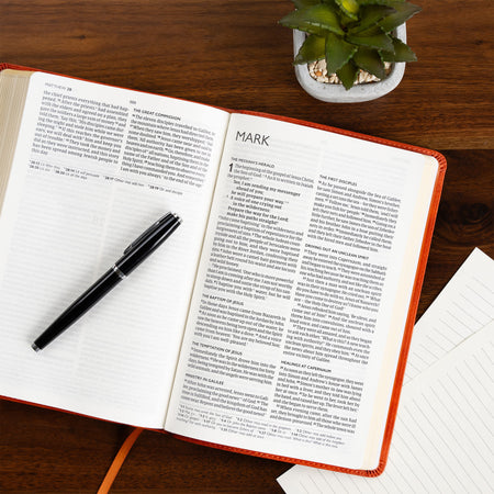 Church Pew Bible (CSB) - Anglicised Edition by Broadman and Holman, product view 5