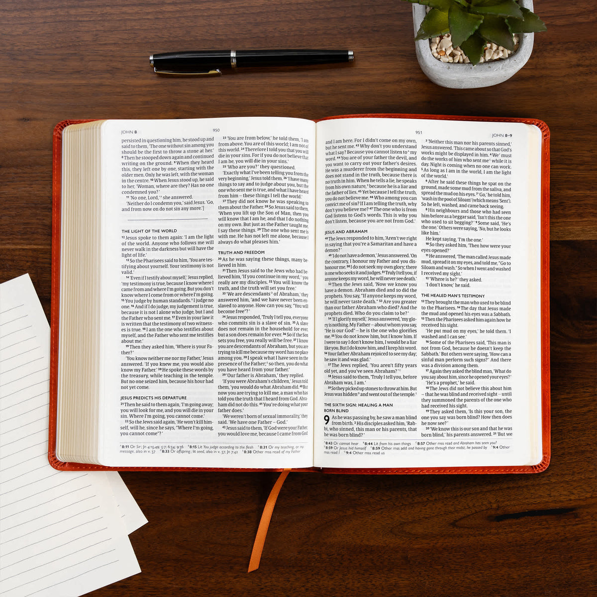 Church Pew Bible (CSB) - Anglicised Edition by Broadman and Holman, product view 6
