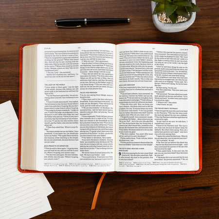 Church Pew Bible (CSB) - Anglicised Edition by Broadman and Holman, product view 6