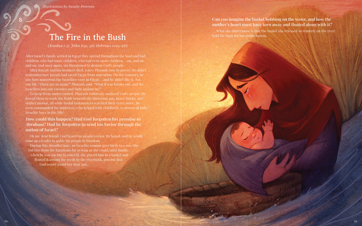 The Storyteller's Bible: A Bible Storybook Celebrating the Greatest Storyteller of All by Broadman and Holman, product view 7