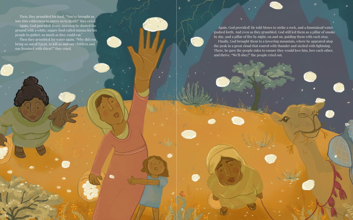 The Storyteller's Bible: A Bible Storybook Celebrating the Greatest Storyteller of All by Broadman and Holman, product view 8