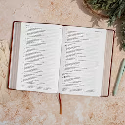 CSB Giant Print Single-Column Bible