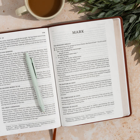 Giant Print Single-Column Bible (CSB) by Broadman and Holman, product view 7