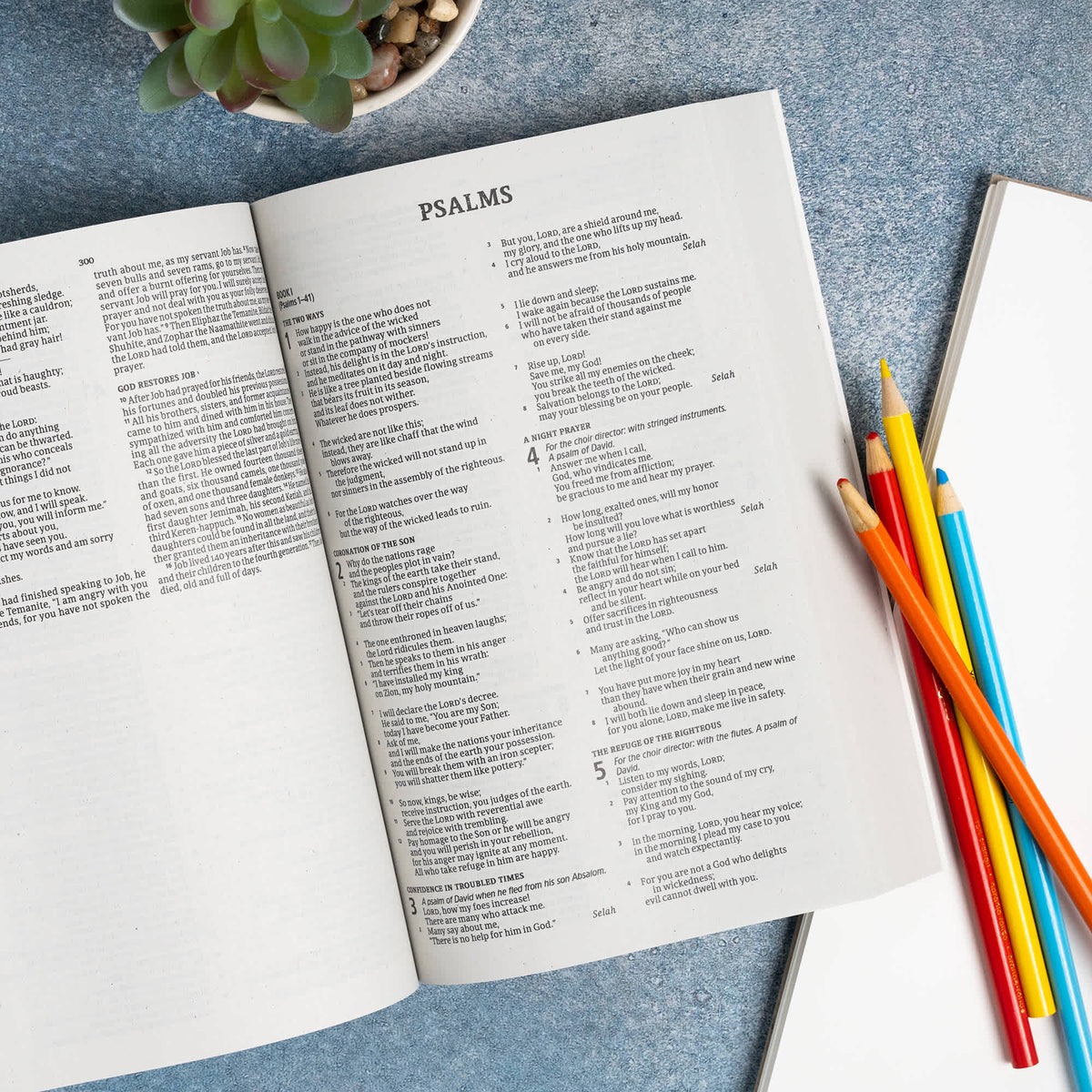 The Gospel Project for Kids Classroom Bible (CSB) by Broadman and Holman, product view 5
