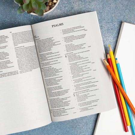 The Gospel Project for Kids Classroom Bible (CSB) by Broadman and Holman, product view 5