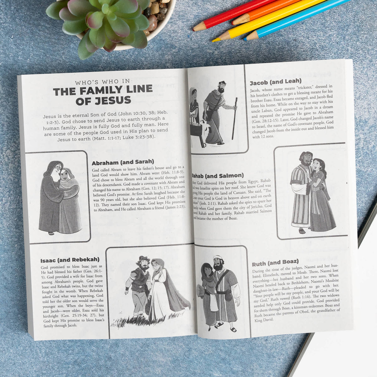 The Gospel Project for Kids Classroom Bible (CSB) by Broadman and Holman, product view 6