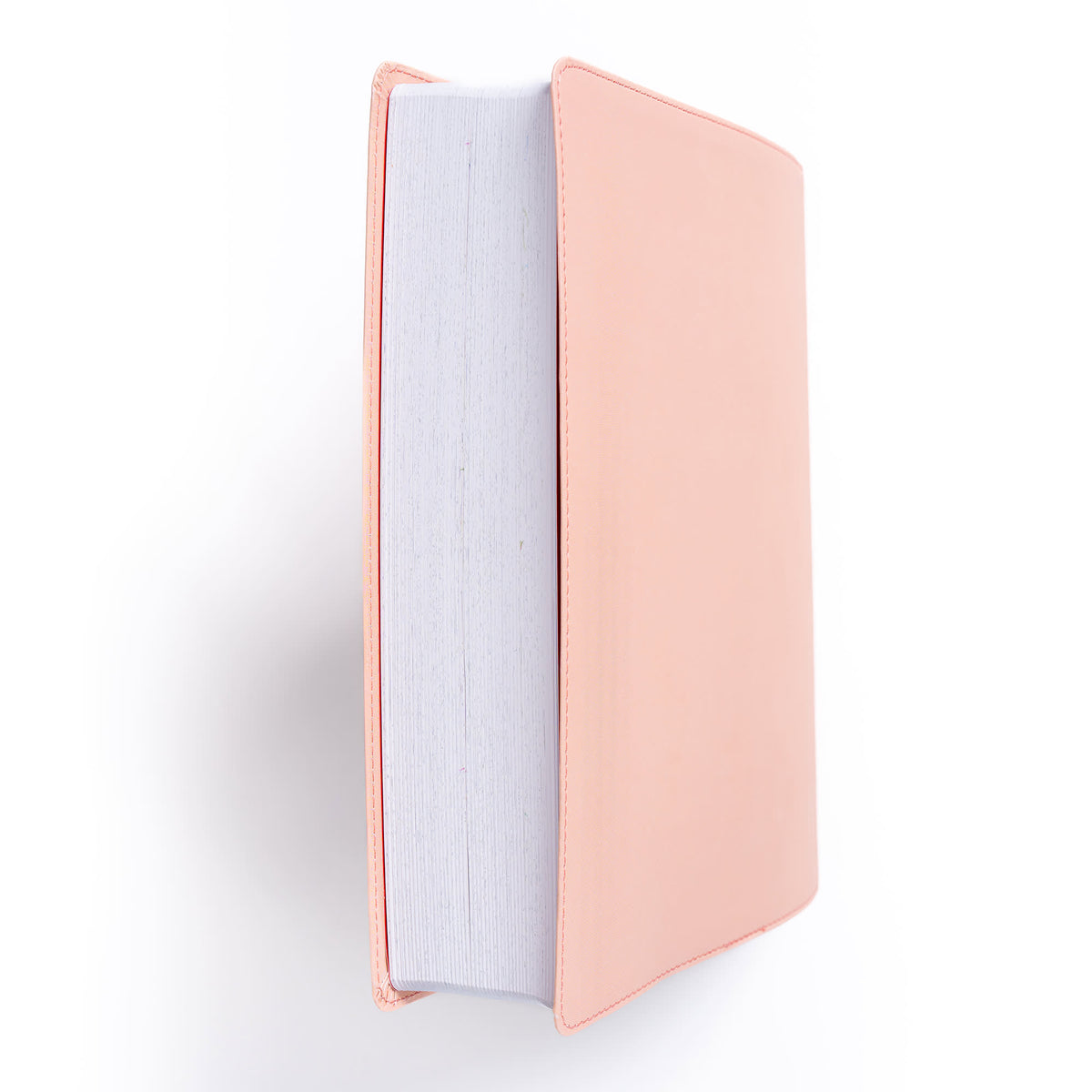 Illustrator’s Notetaking Bible (CSB) - Large Print Edition by Broadman and Holman, product view 7