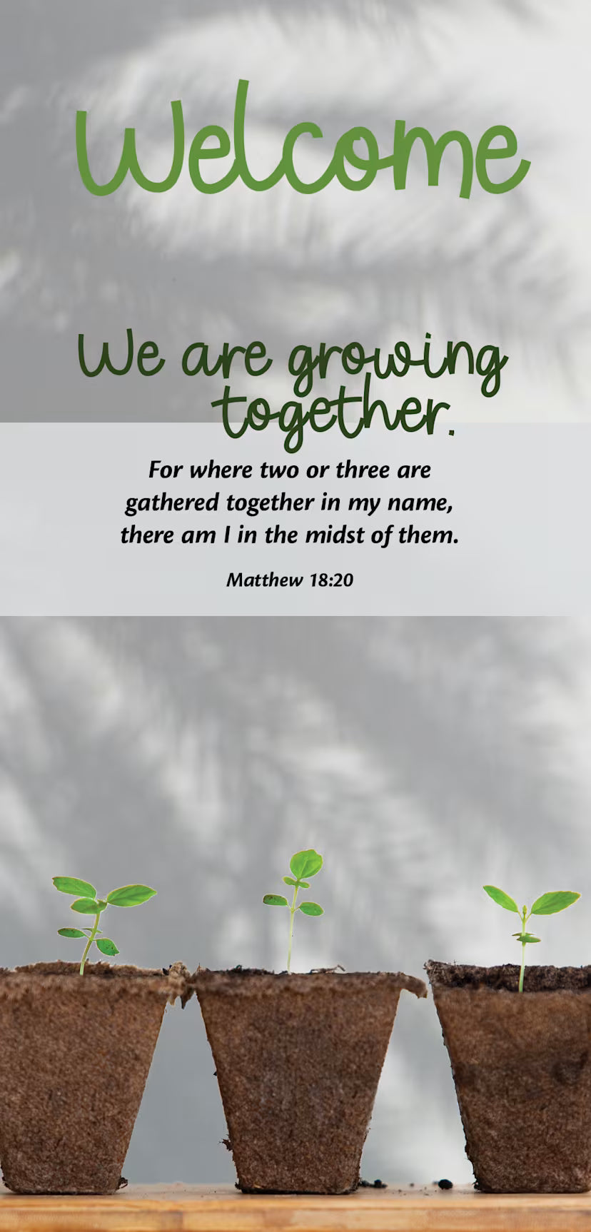 Guest Welcome Card: We Are Growing (Package of 50): Matthew 18:20 (KJV)