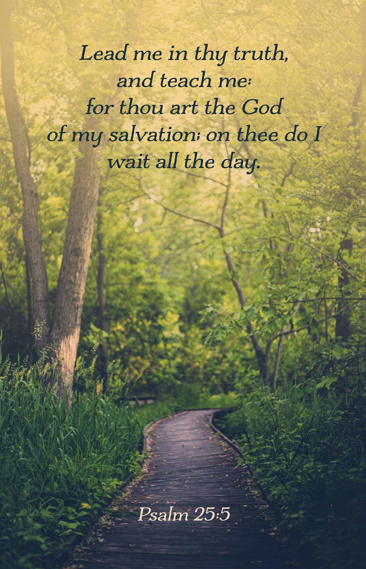 Legacy Bulletin: Teach Me (Package of 100): Psalm 25:5 (KJV) by Broadman and Holman