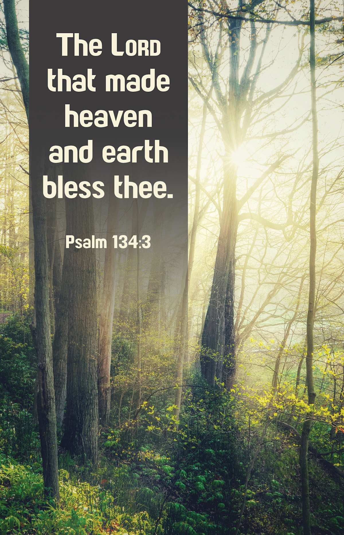 General Worship Bulletin: Bless Thee (Package of 100): Psalm 134:3 (KJV) by Broadman and Holman
