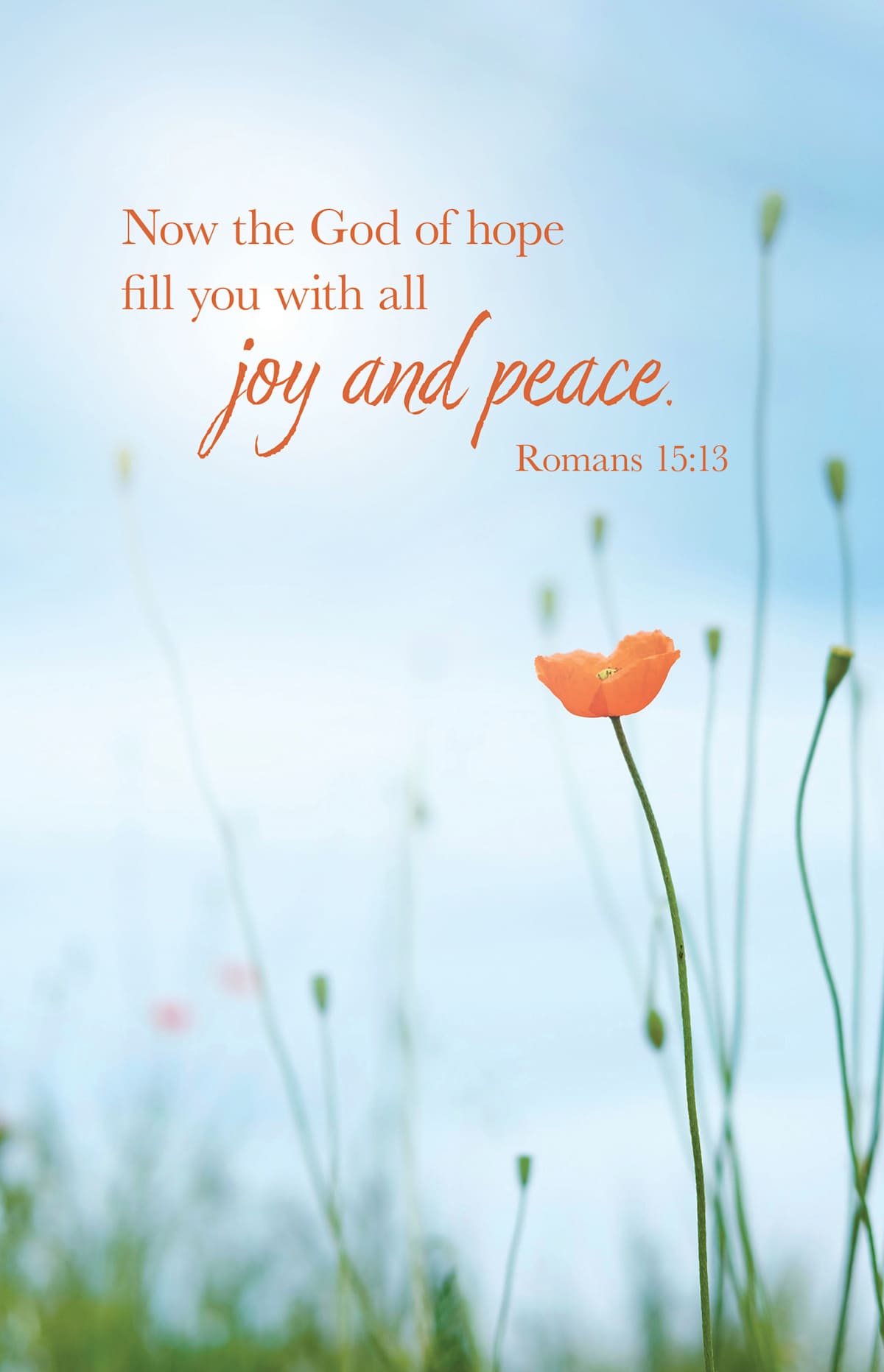 General Worship Bulletin: All Joy (Package of 100): Romans 15:13 (KJV) by Broadman and Holman
