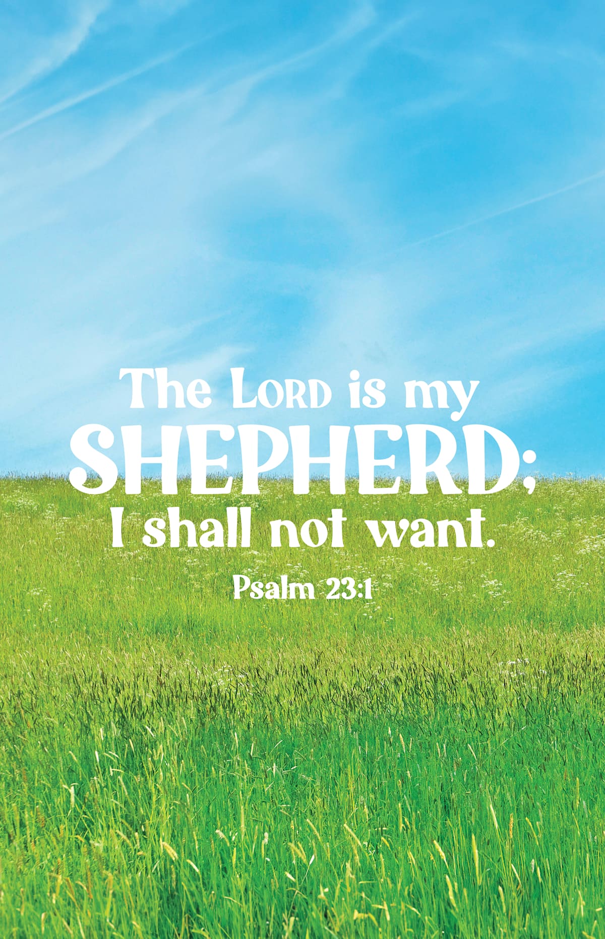 Funeral Bulletin: My Shepherd (Package of 100): Psalm 23:1 (KJV) by Broadman and Holman