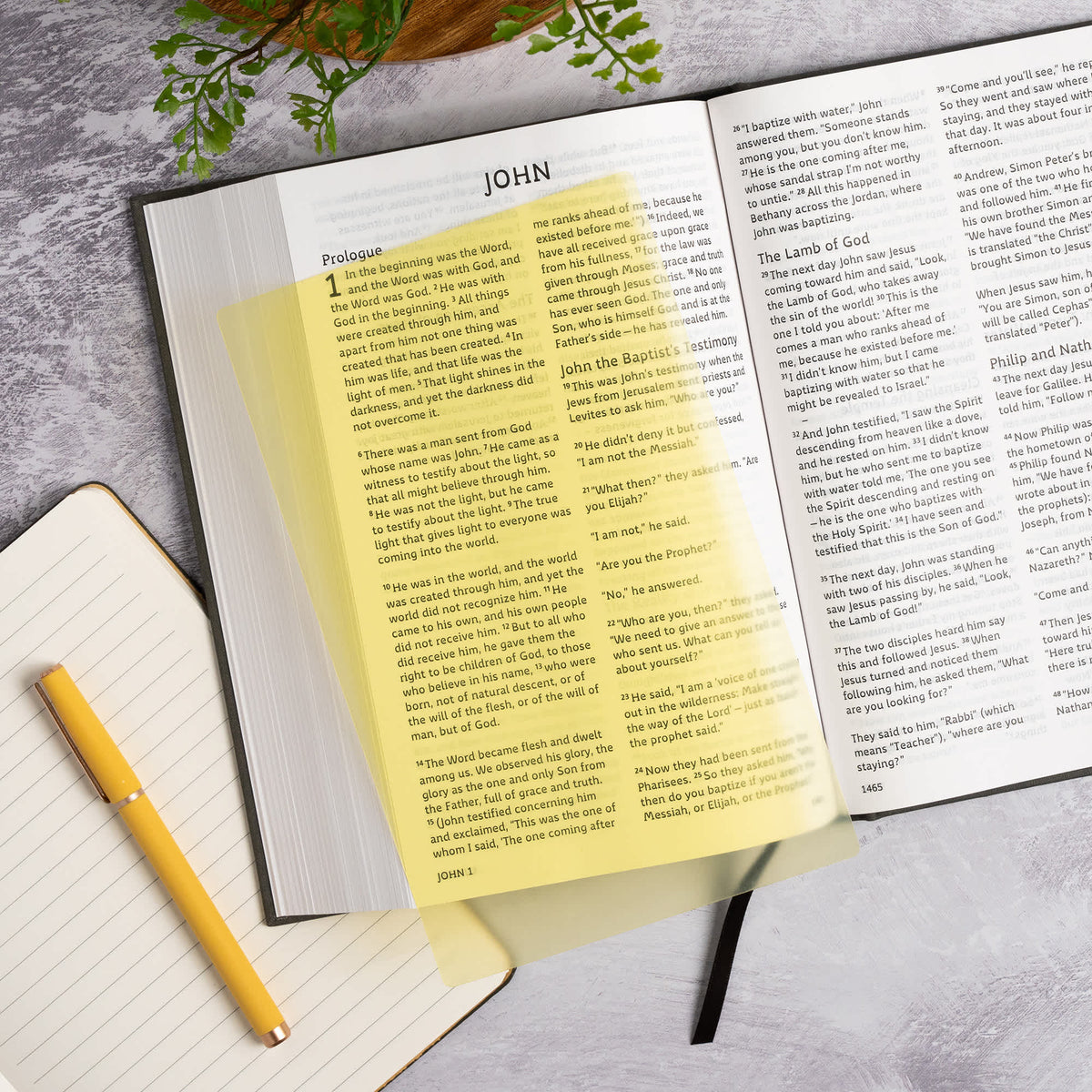 CSB Grace Bible - Single or Case Quantity by Broadman and Holman, product view 5