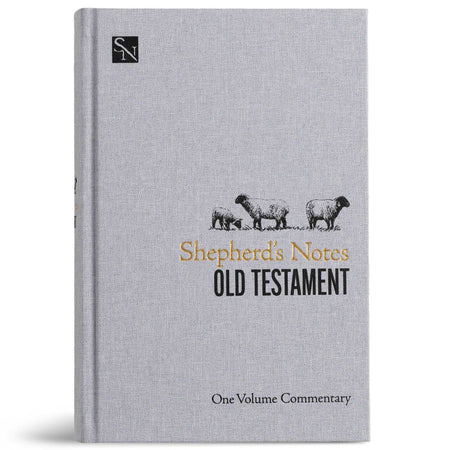 Shepherd’s Notes on the Old Testament by Broadman and Holman