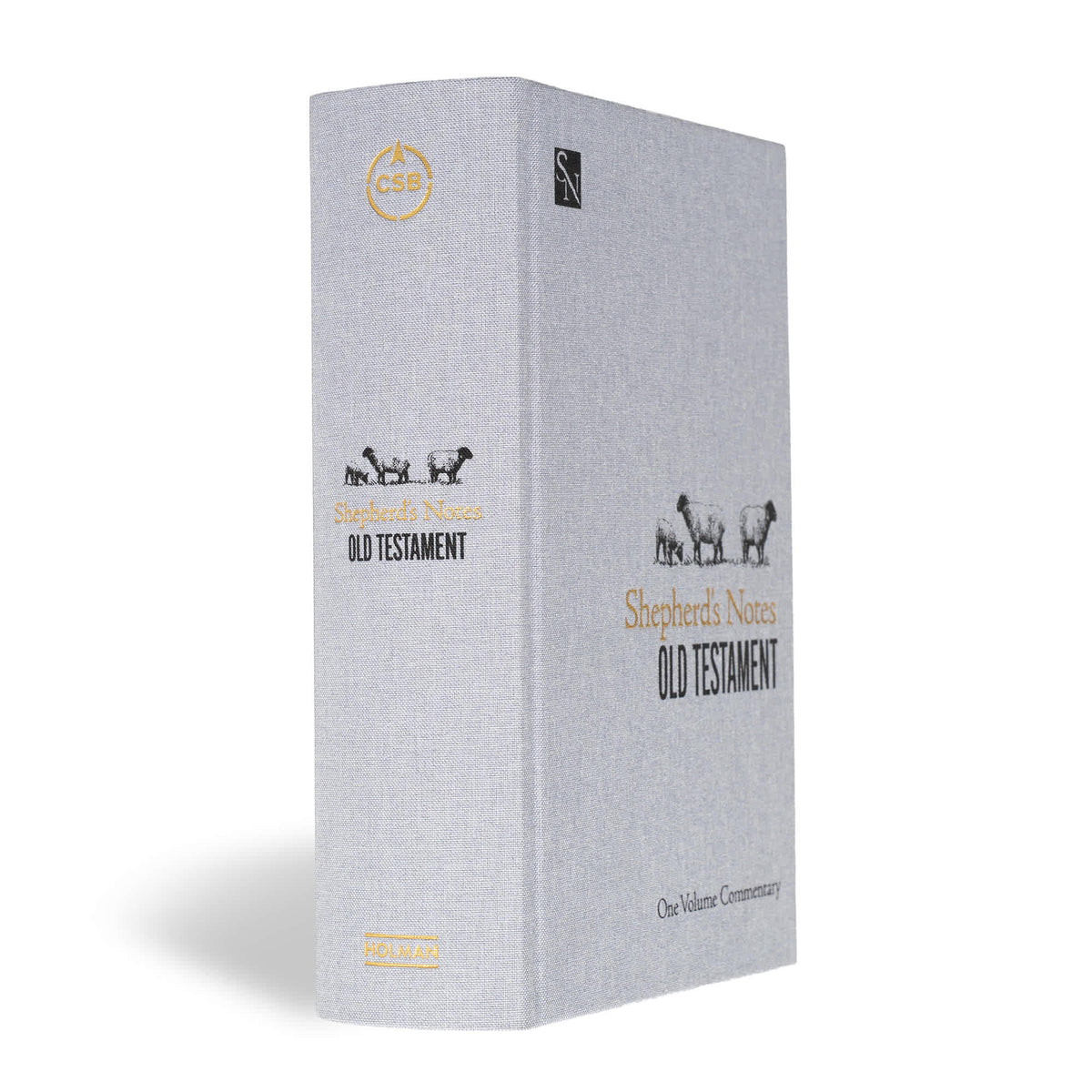 Shepherd’s Notes on the Old Testament by Broadman and Holman, product view 2