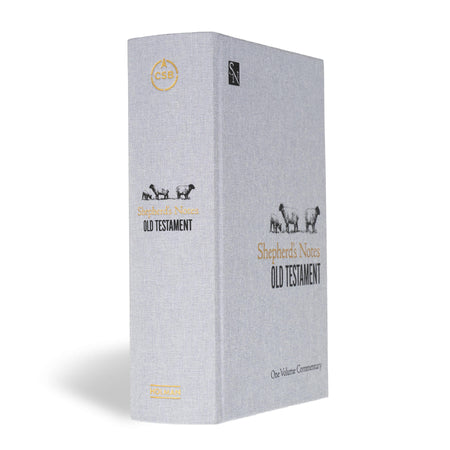 Shepherd’s Notes on the Old Testament by Broadman and Holman, product view 2