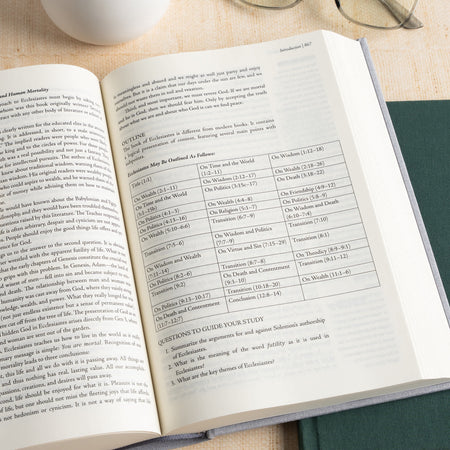 Shepherd’s Notes on the Old Testament by Broadman and Holman, product view 5