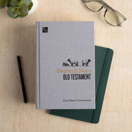 Shepherd’s Notes on the Old Testament by Broadman and Holman, product view 6