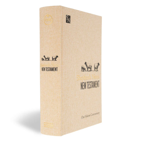 Shepherd’s Notes on the New Testament by Broadman and Holman, product view 2