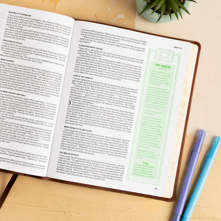Journal and Draw Bible for Kids (CSB) by Broadman and Holman, product view 5