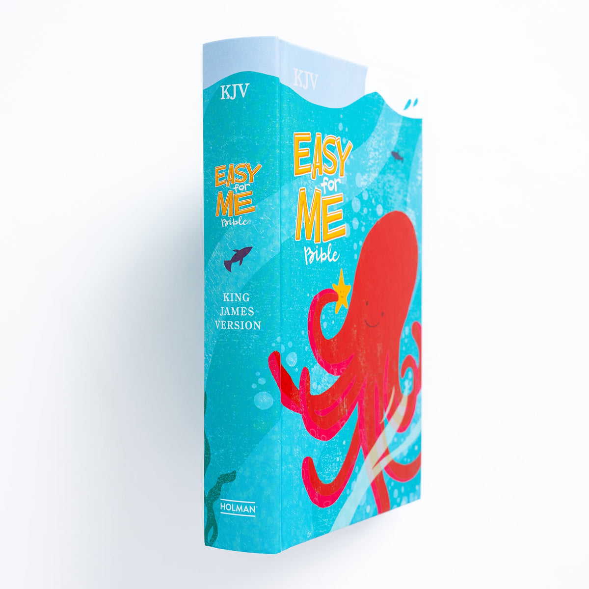 Easy-for-Me (KJV ) Bible for Early Readers by Broadman and Holman, product view 6