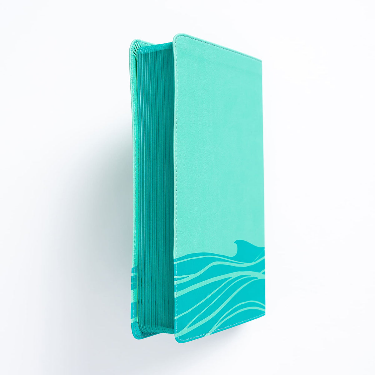 Easy-for-Me (KJV ) Bible for Early Readers by Broadman and Holman, product view 7