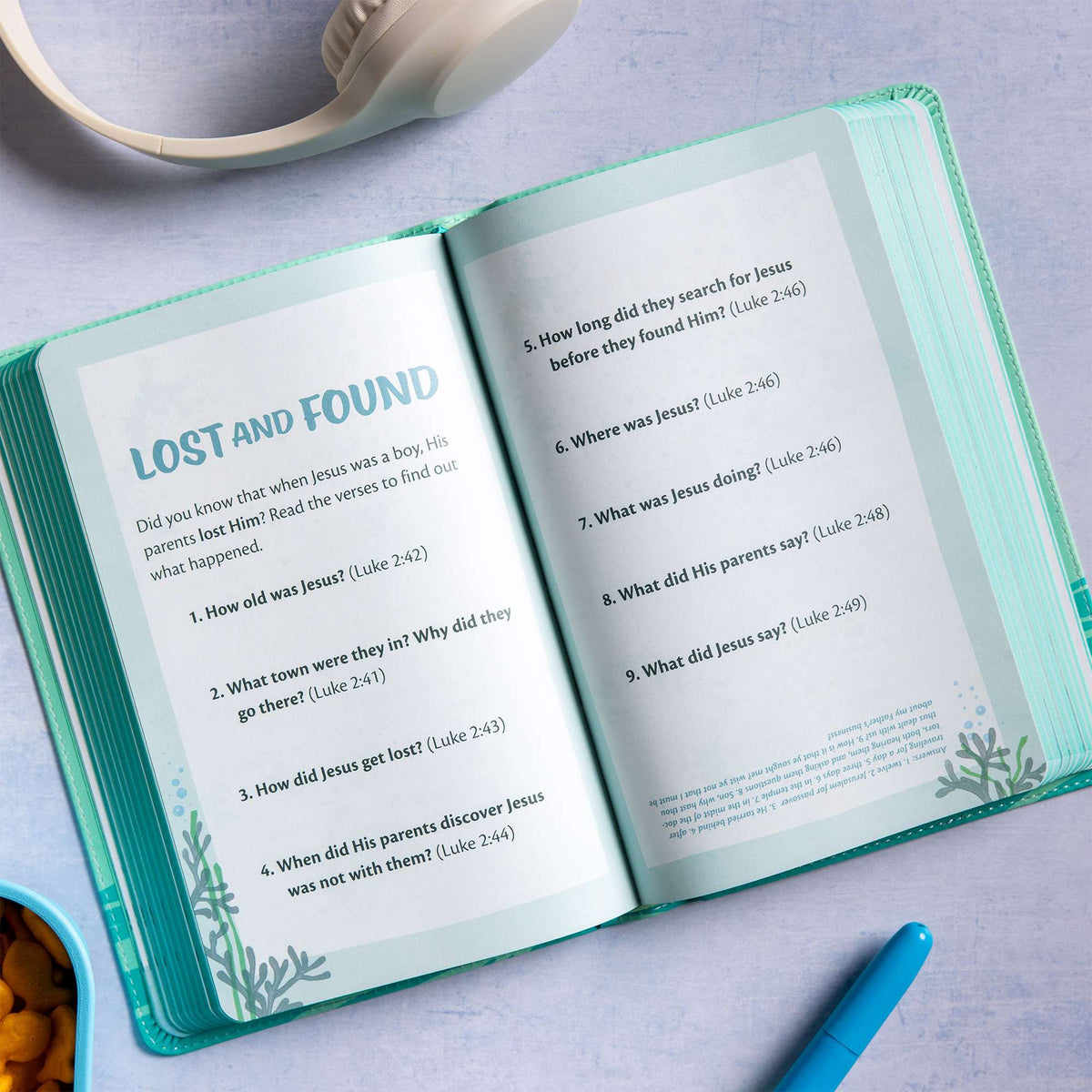 Easy-for-Me (KJV ) Bible for Early Readers by Broadman and Holman, product view 8