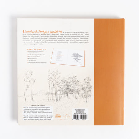 RVR 1960 Libro de Salmos Edición Ilustrada, tapa dura by Broadman and Holman, product view 2