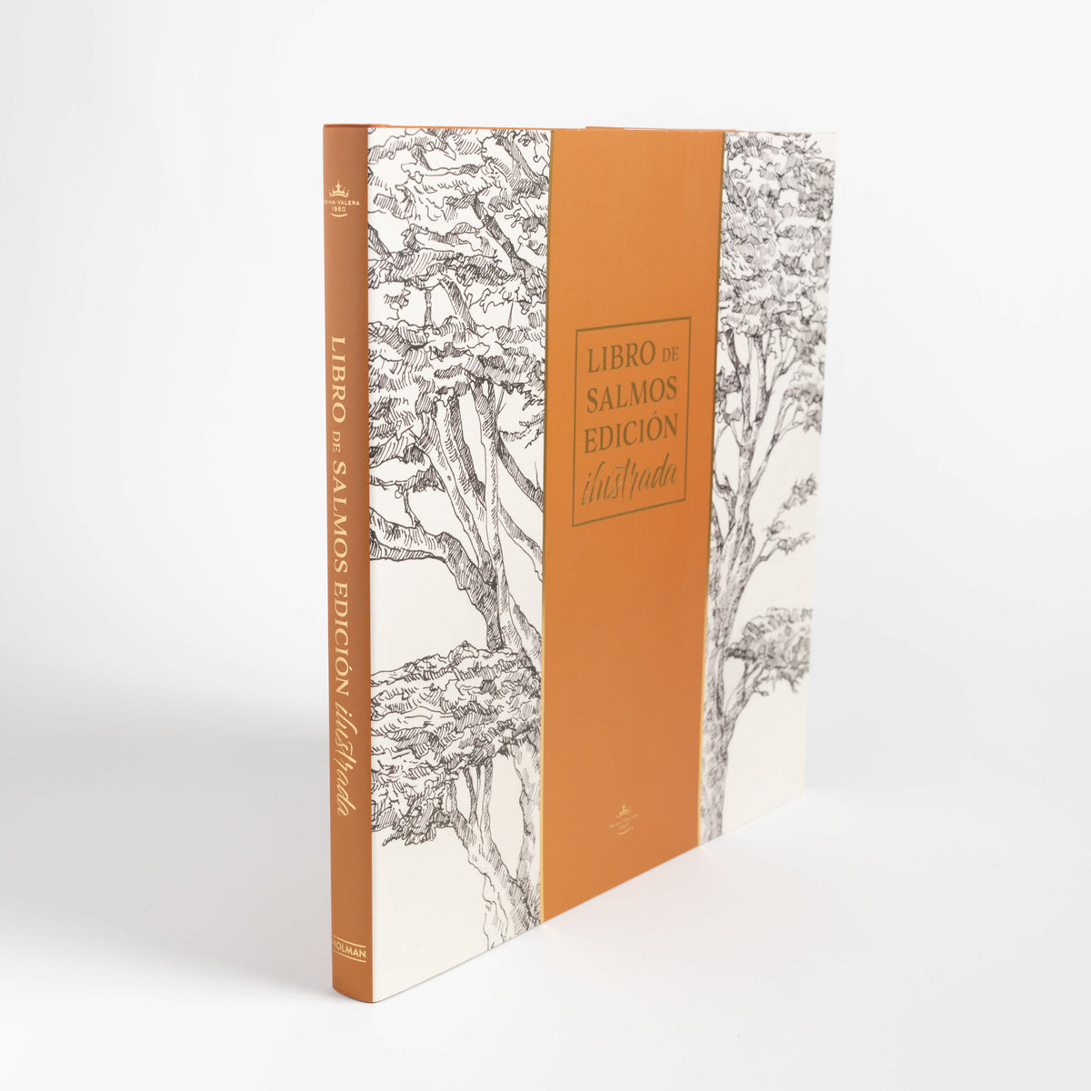 1960 Libro de Salmos Edición Ilustrada (RVR) tapa dura by Broadman and Holman, product view 3