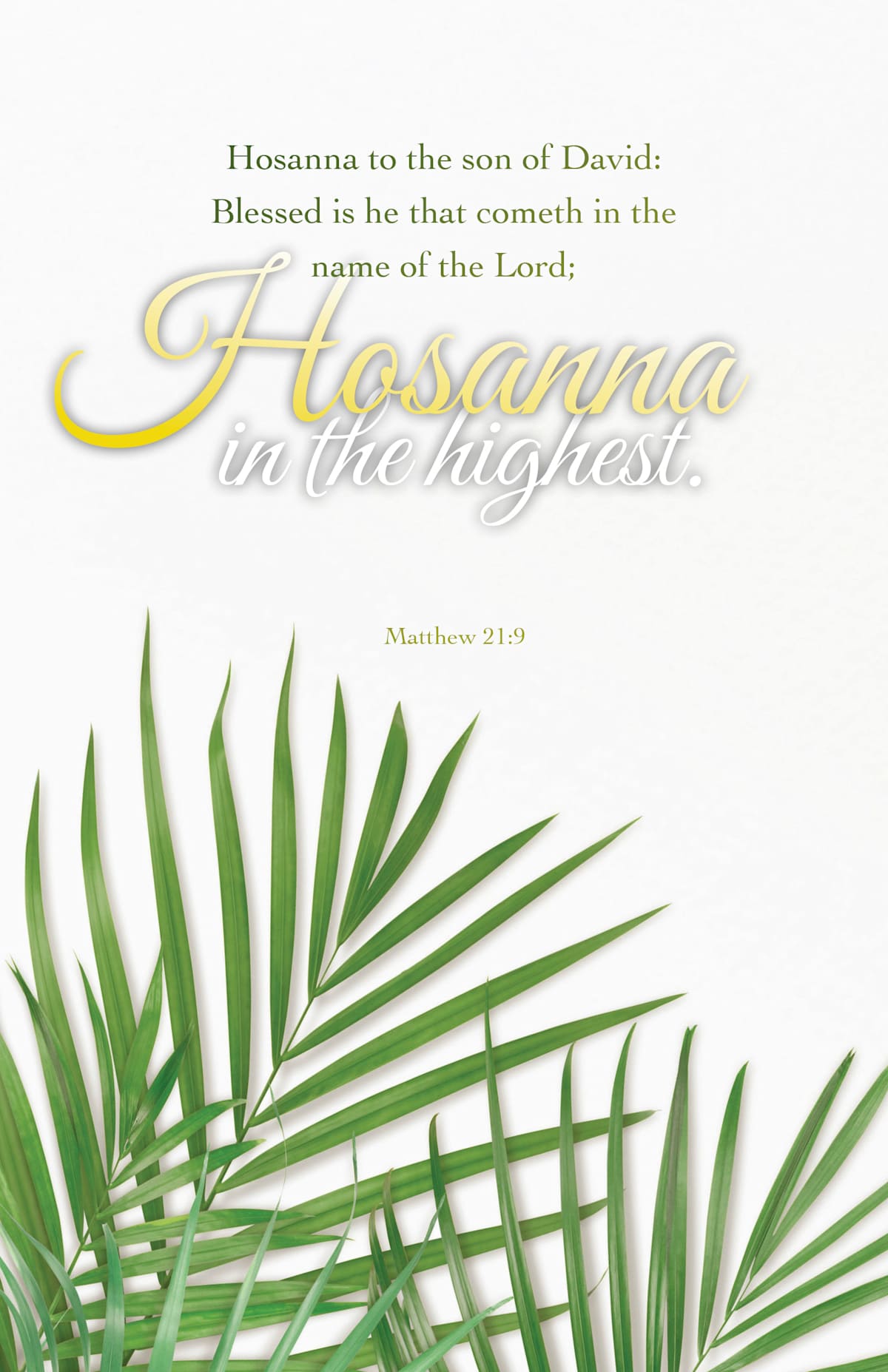 Palm Sunday Bulletin: Cometh in the Name (Package of 100): Matthew 21:9 (KJV) by Broadman and Holman