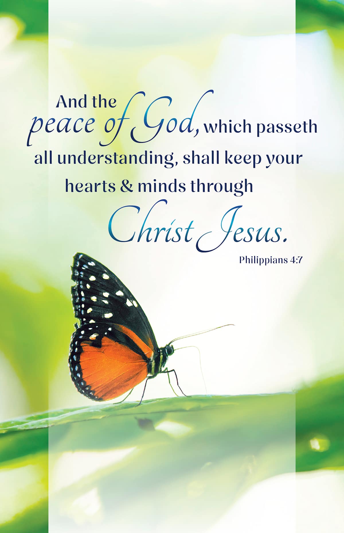 Funeral Bulletin: And the Peace (Package of 100): Philippians 4:7 (KJV) by Broadman and Holman