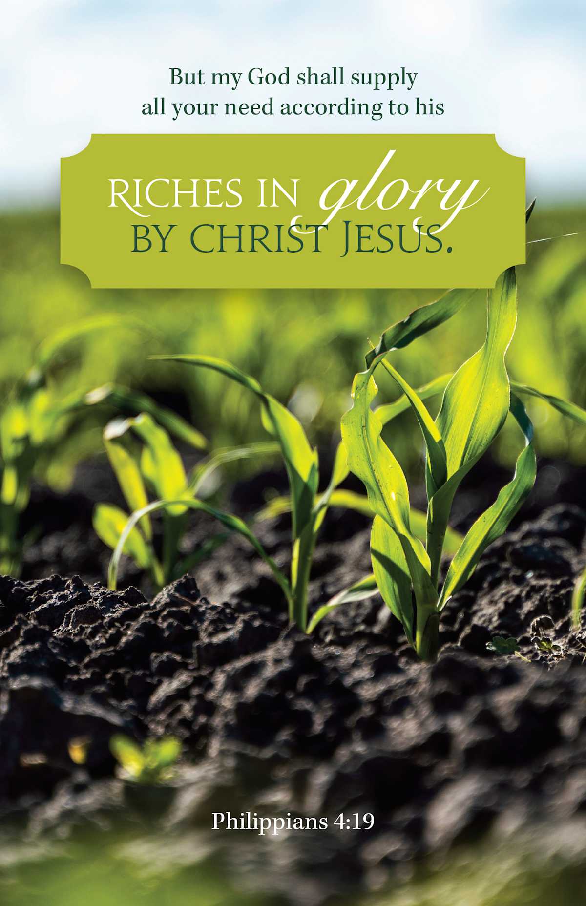 General Worship Bulletin: Riches in Glory (Package of 100): Philippians 4:19 (KJV) by Broadman and Holman
