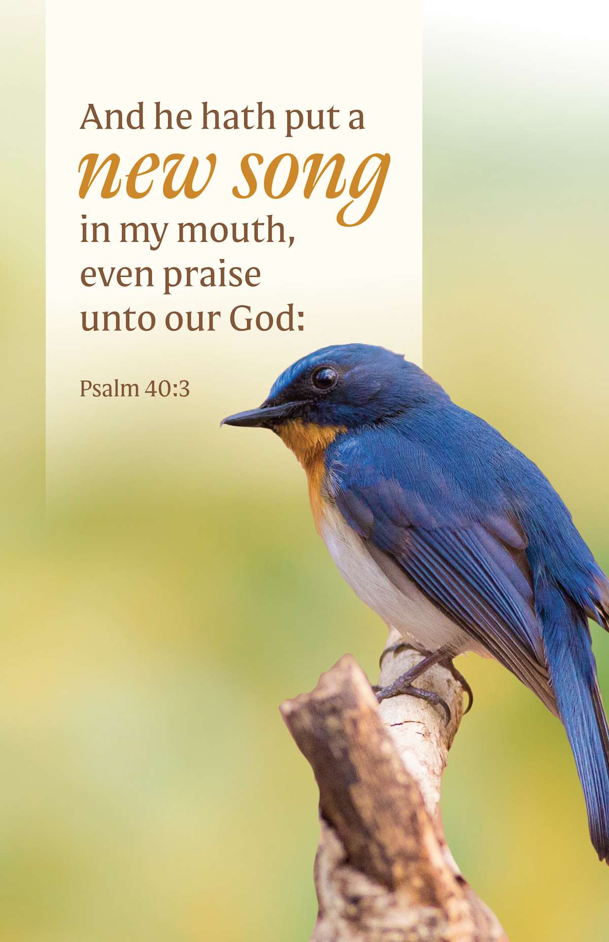 General Worship Bulletin: He Hath Put (Package of 100): Psalm 40:3 (KJV) by Broadman and Holman