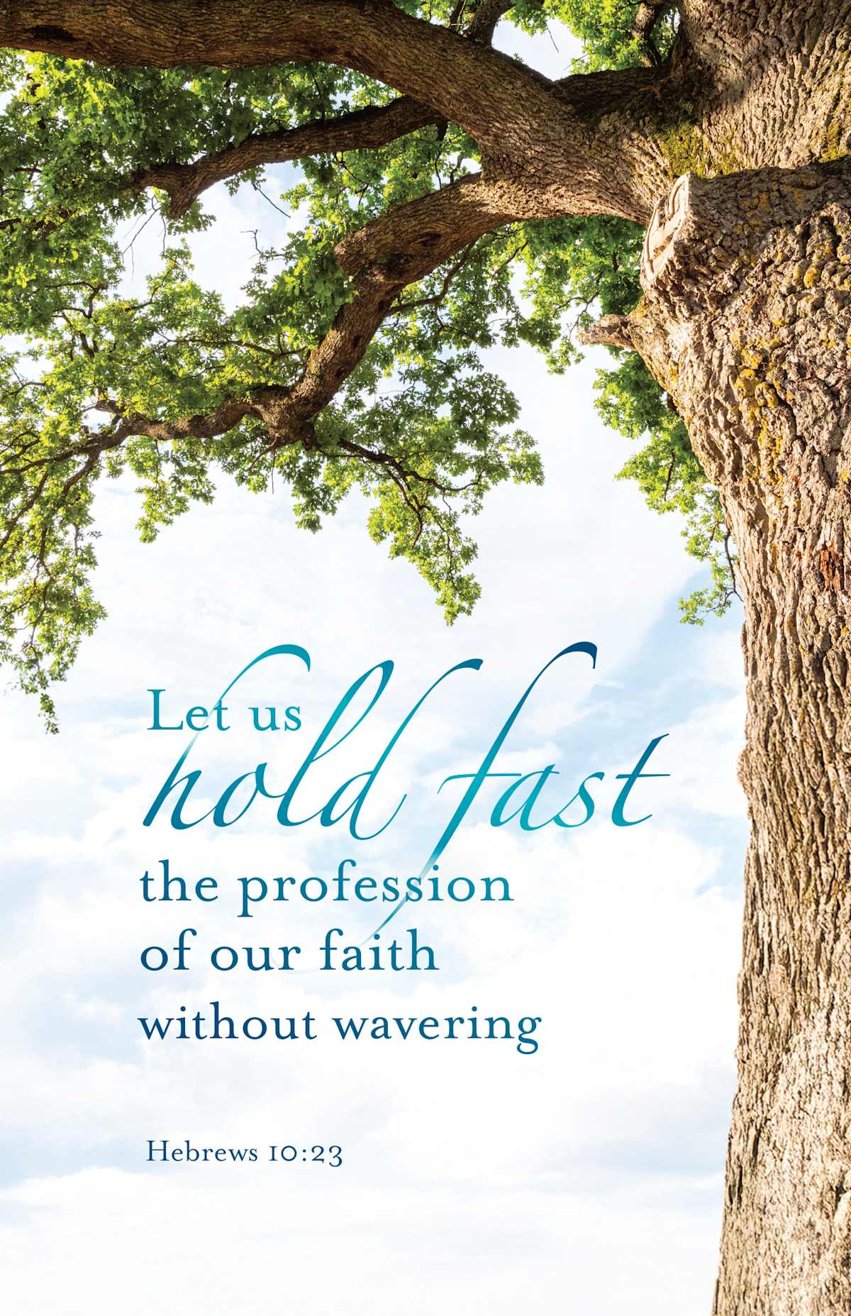 General Worship Bulletin: Hold Fast (Package of 100): Hebrews 10:23 (KJV) by Broadman and Holman