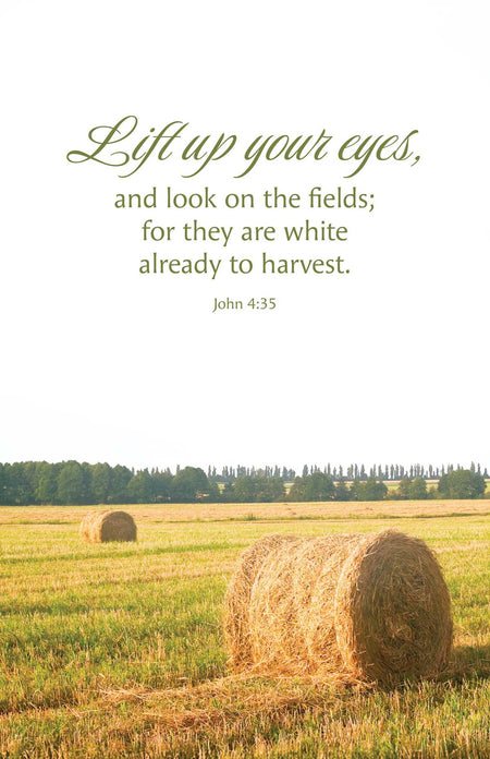 General Worship Bulletin: Lift Up (Package of 100): John 4:35 (KJV) by Broadman and Holman