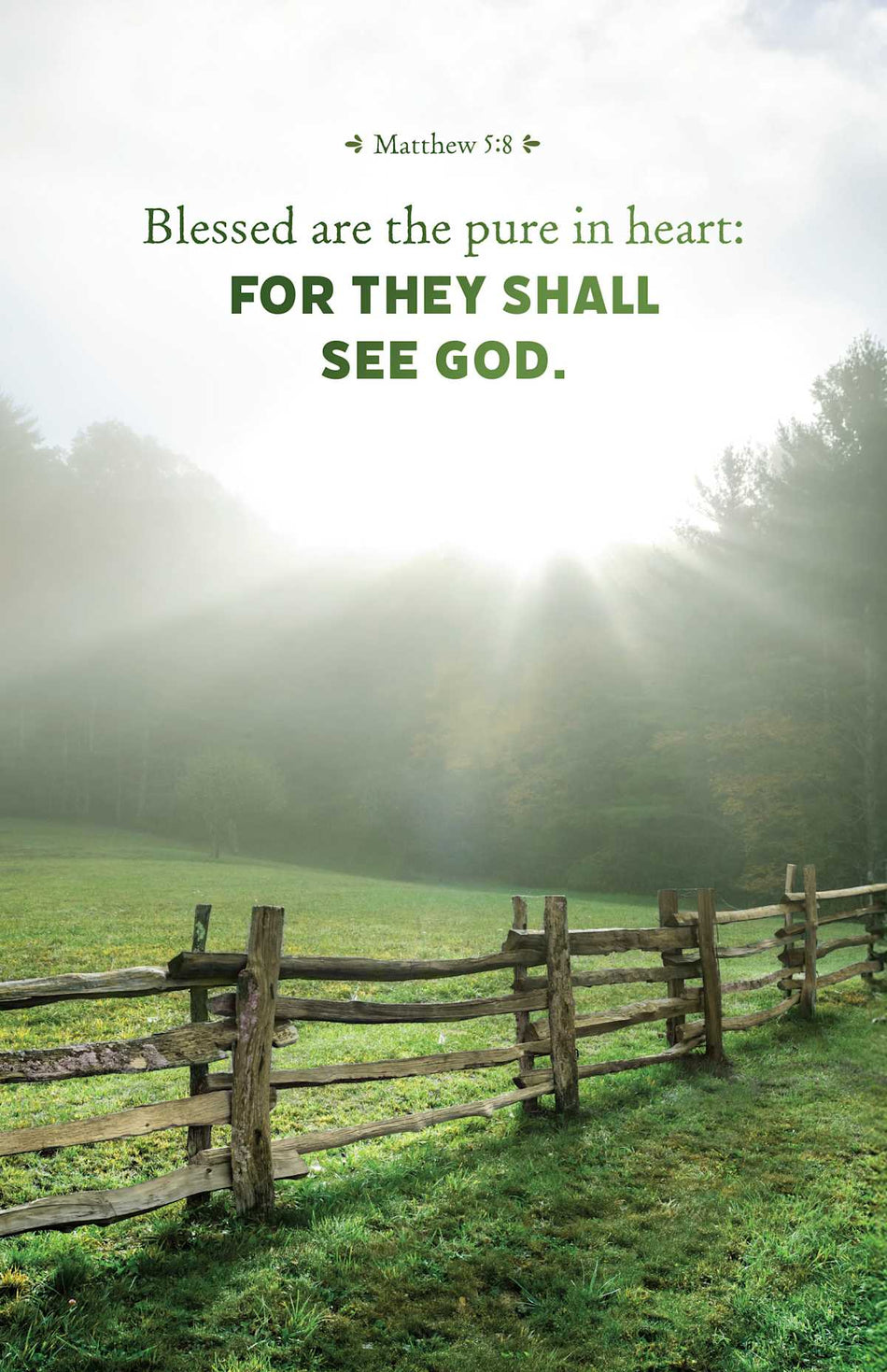 General Worship Bulletin: They Shall (Package of 100): Matthew 5:8 (KJV) by Broadman and Holman