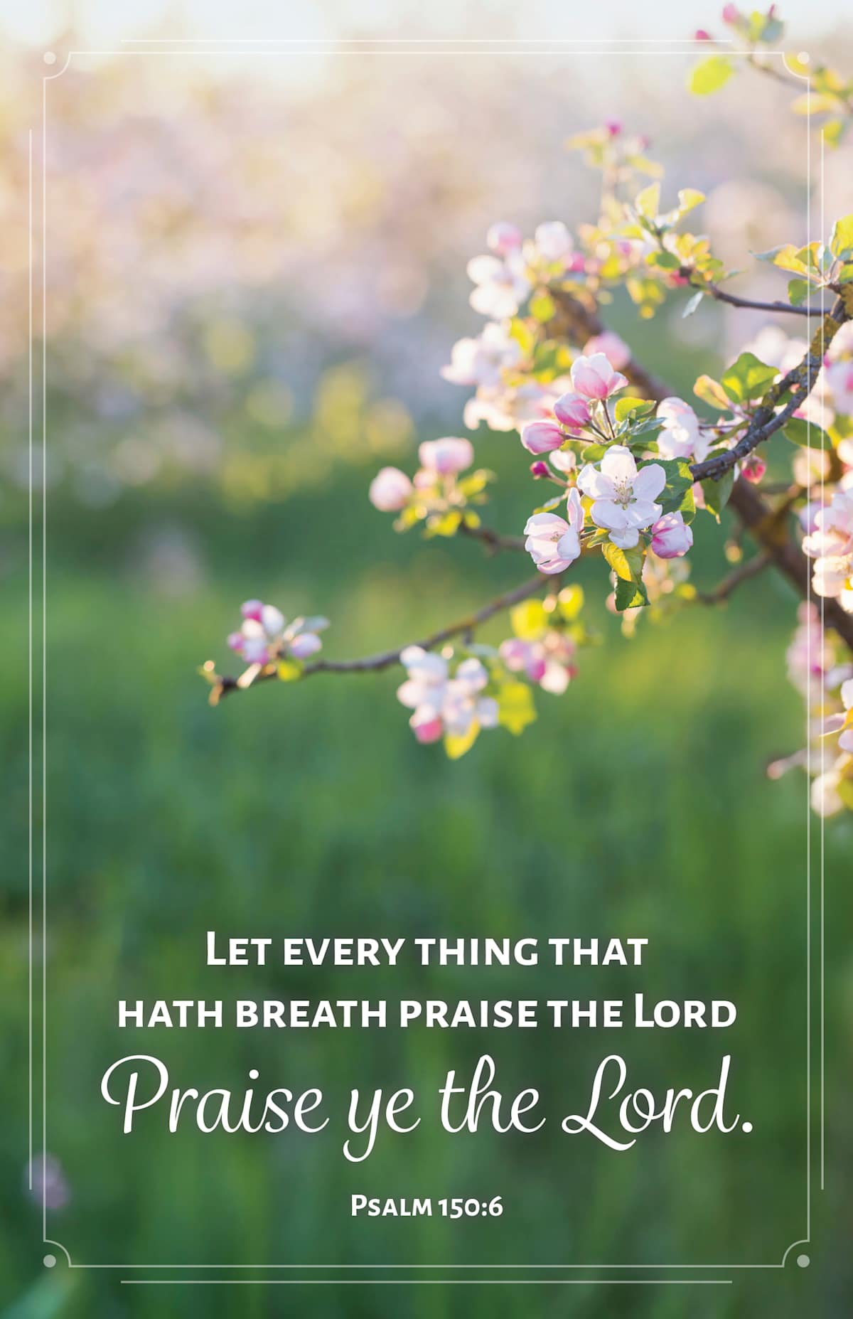 General Worship Bulletin: Let Every Thing (Package of 100): Psalm 150:6 (KJV) by Broadman and Holman
