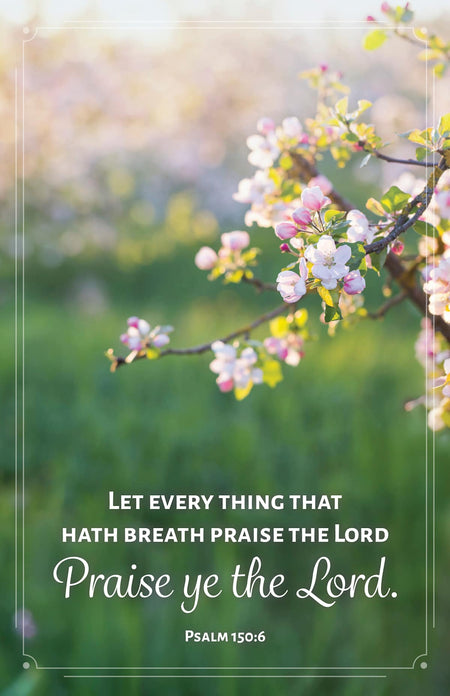 General Worship Bulletin: Let Every Thing (Package of 100): Psalm 150:6 (KJV) by Broadman and Holman