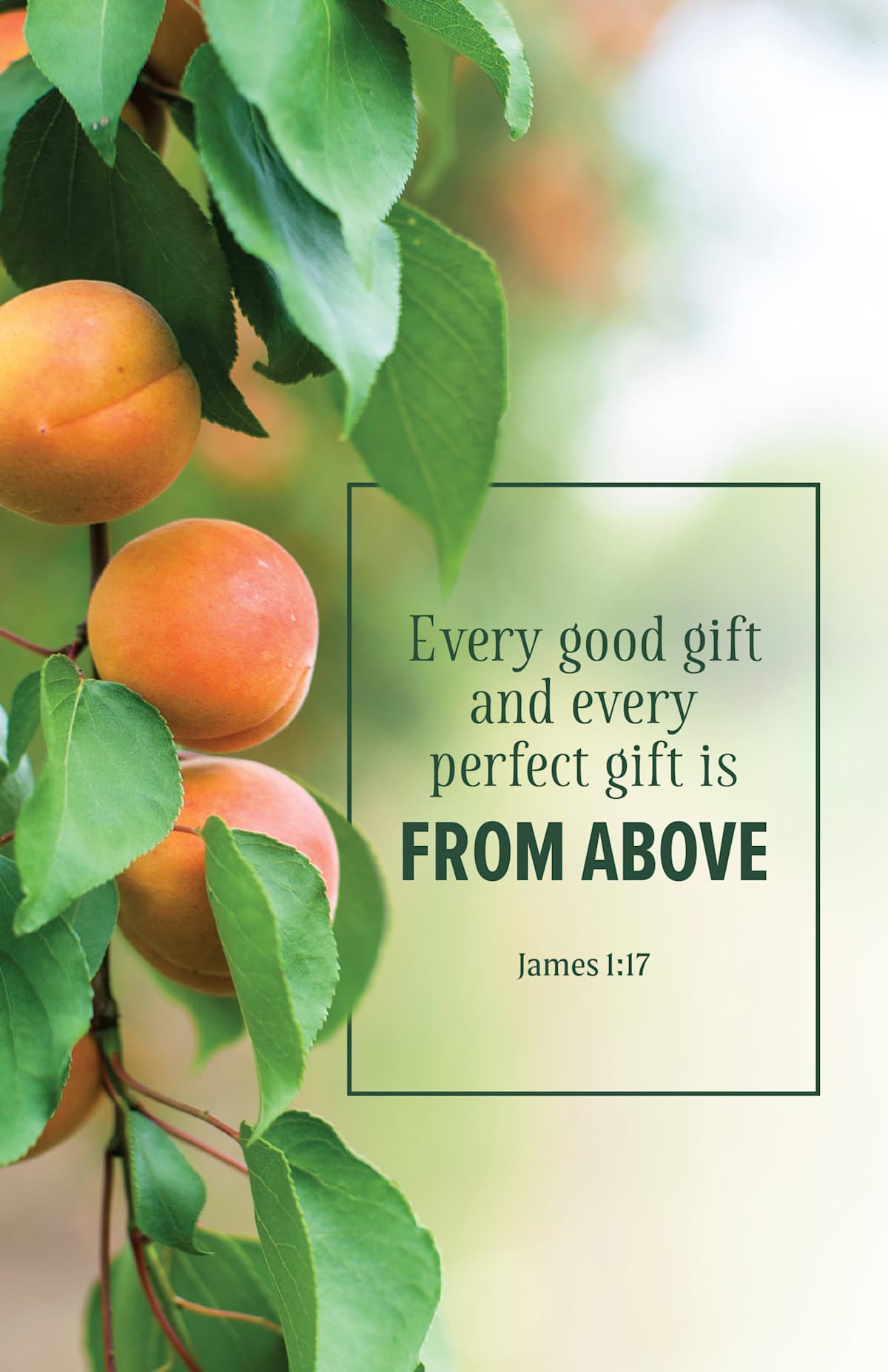 Evangelism Bulletin: Every (Package of 100): James 1:17 (KJV) (Pack of 100) by Broadman and Holman