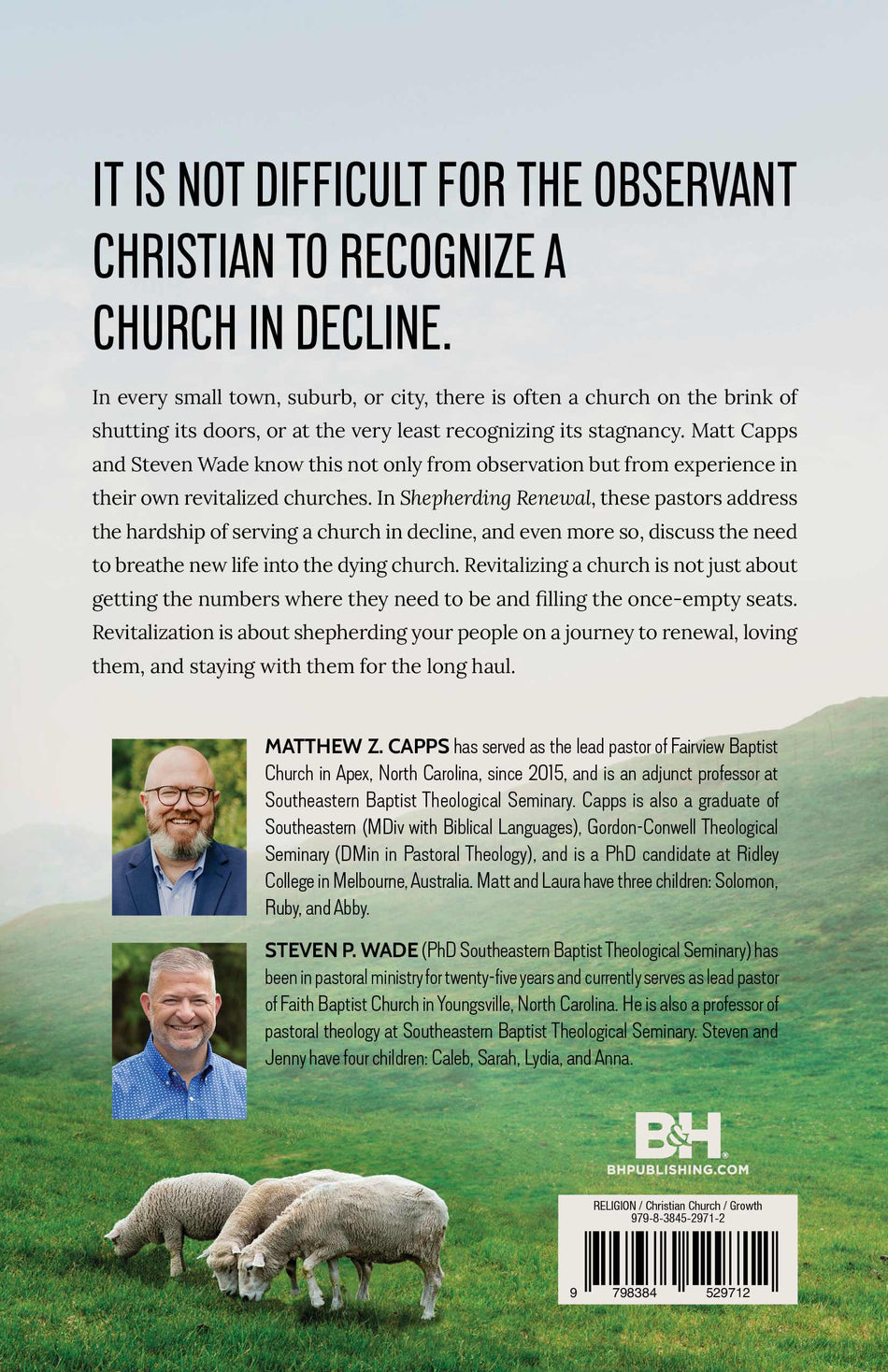 Shepherding Renewal by Broadman and Holman, product view 2