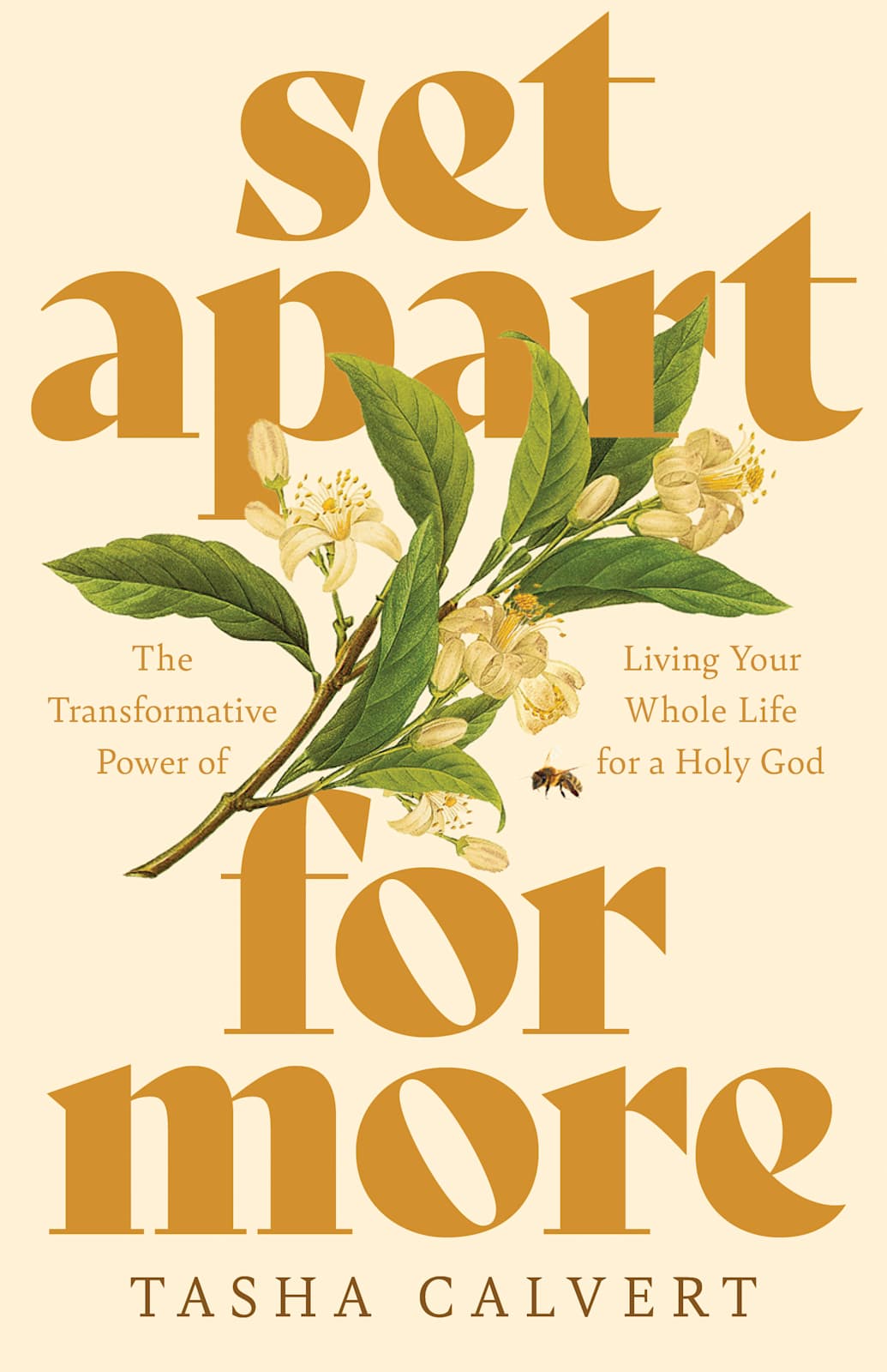 Set Apart for More by Broadman and Holman
