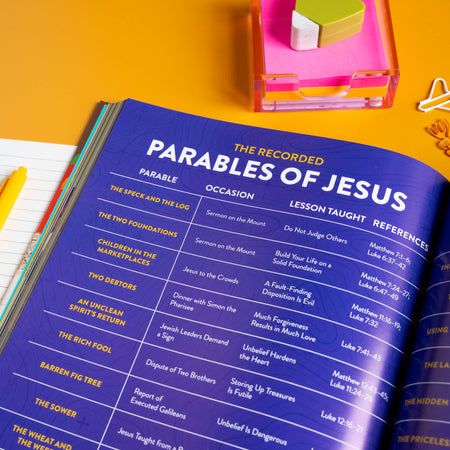 The Explorer Bible Dictionary for Kids by Broadman and Holman, product view 5
