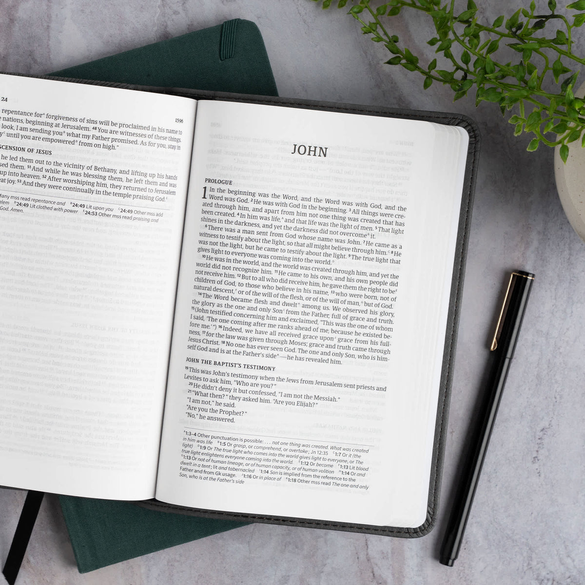 Single-Column Compact Bible (CSB) - Digital Study Edition by Broadman and Holman, product view 4