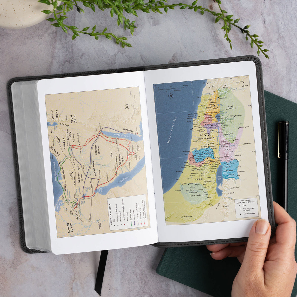 Single-Column Compact Bible (CSB) - Digital Study Edition by Broadman and Holman, product view 5