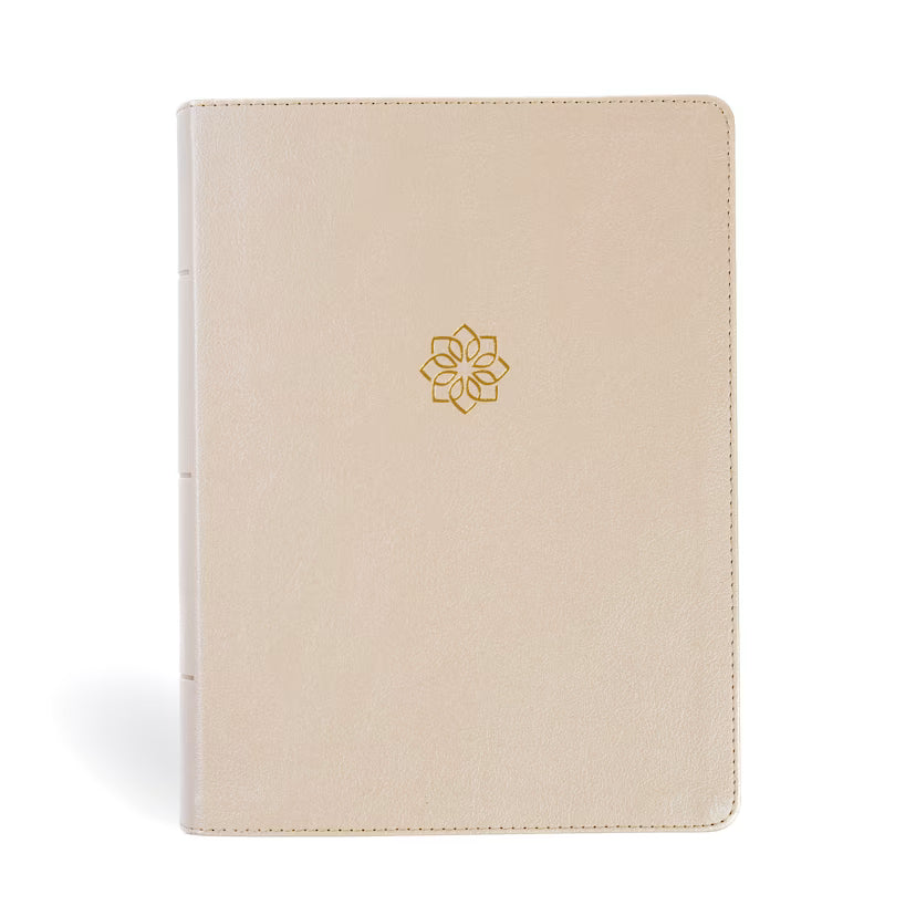 CSB Study Bible, Large Print, Digital Study Edition